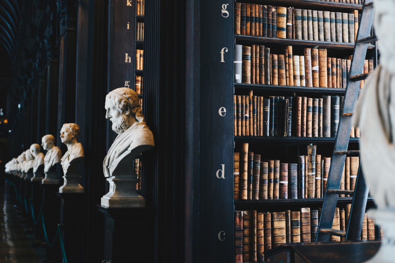 A library with many books and statues of busts