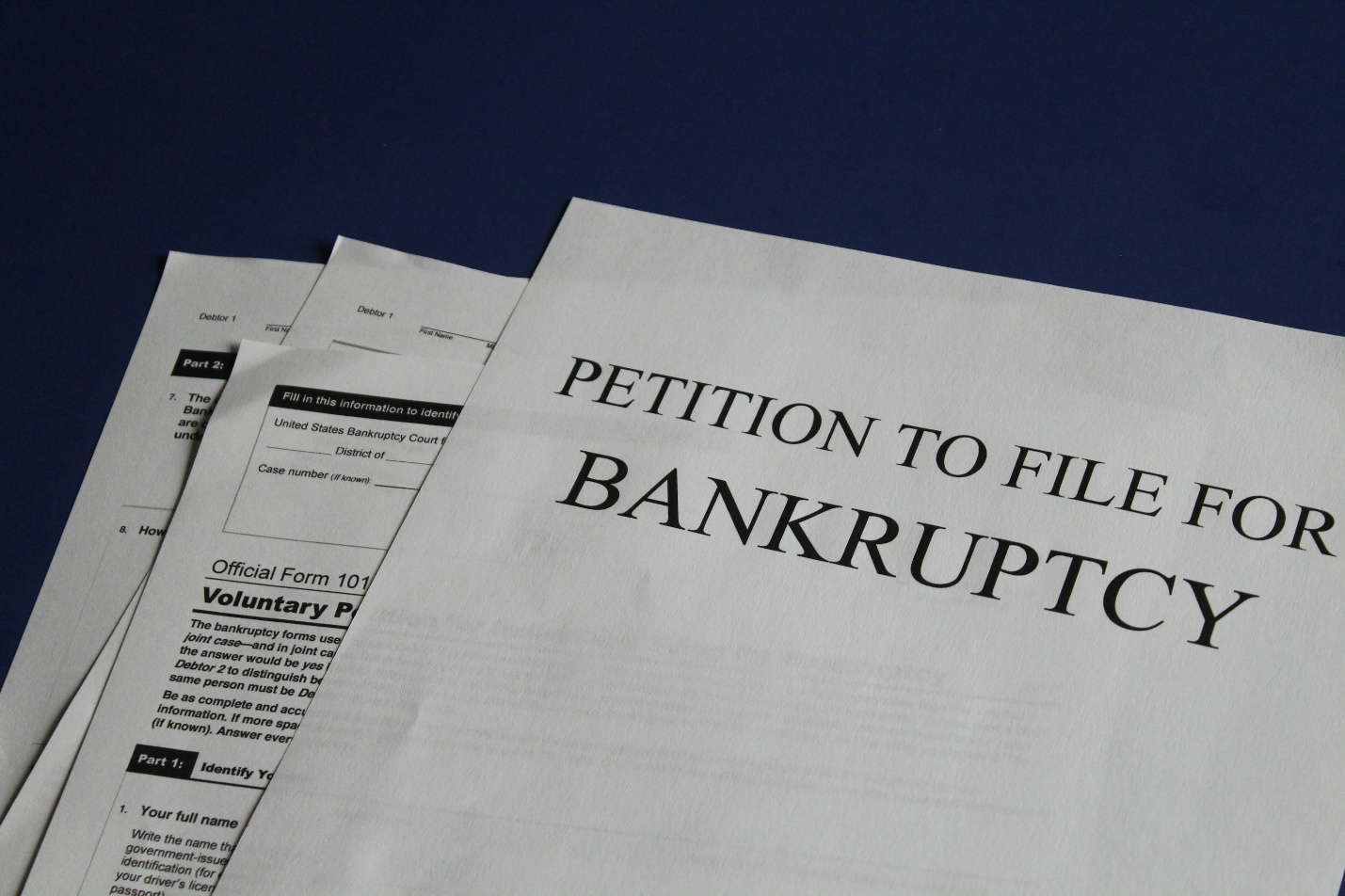 A paper titled ‘petition to file for bankruptcy