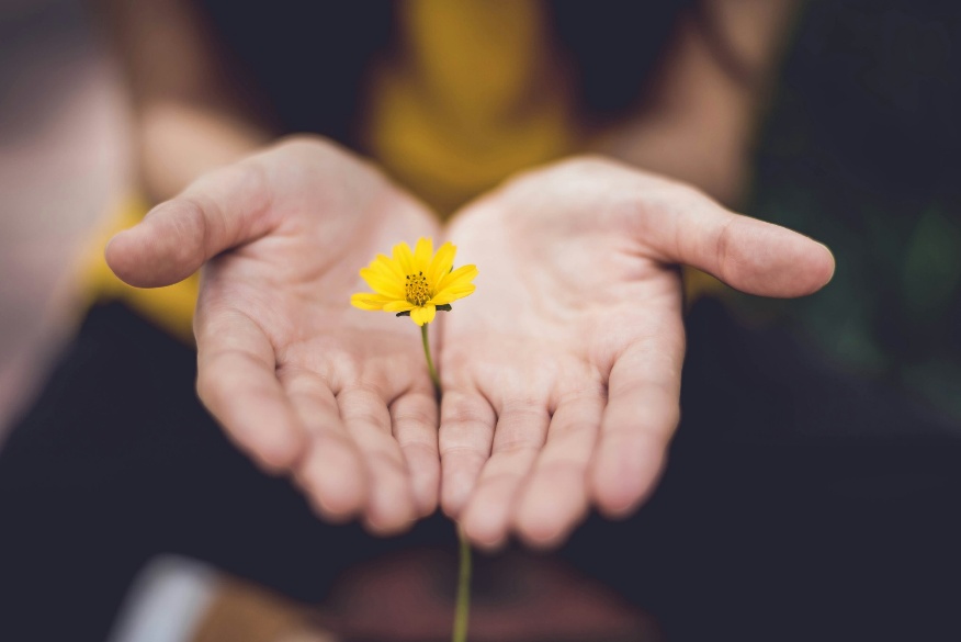 filing-peace-flower